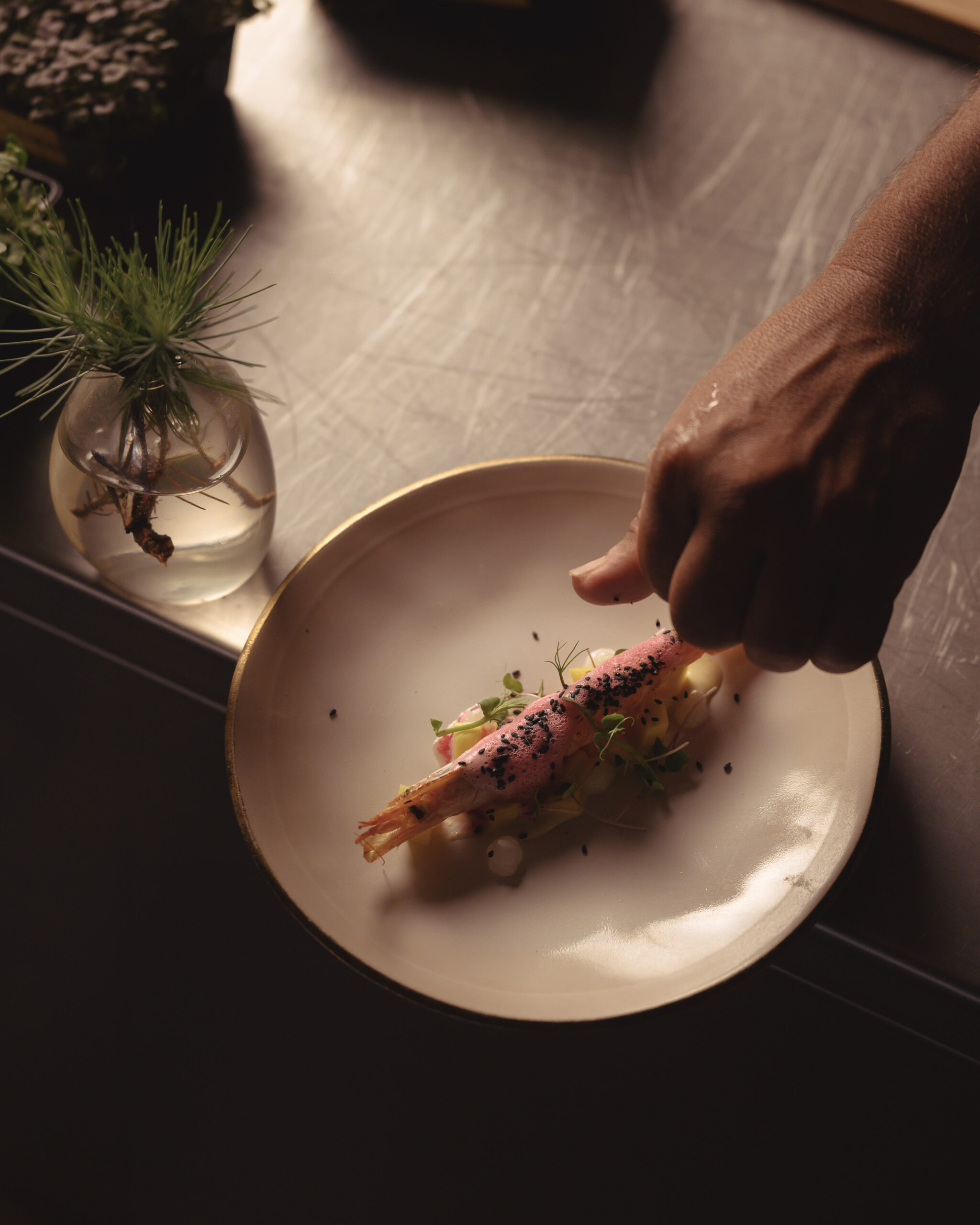 Precisión en el plato
